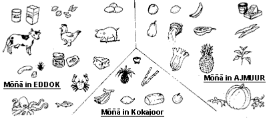 Drawing of the food groups.