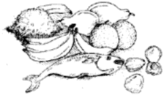 Drawing of fresh food.