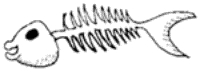 Drawing of a fish skeleton.