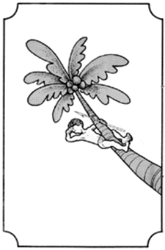 Graphic of a boy in a coconut tree