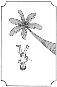 Drawing of a boy falling out of a coconut tree