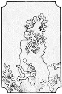 Drawing of a boy swimming through a coral formation to chase the fish.