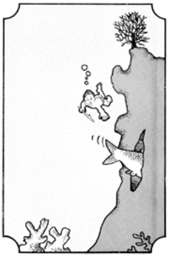 Drawing of the boy chasing after a fish who swims into a cave.