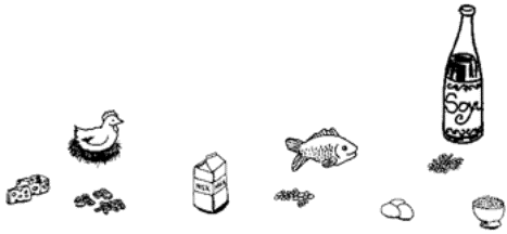 Graphic of different foods