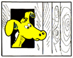 Drawing of the horse poking his head through a window.