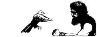 Drawing of a bird about to land on a man's arm.