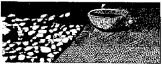 Drawing of a bowl on a grass mat.