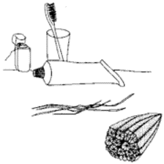 Drawing of a toothbrush, toothpaste, dental floss.